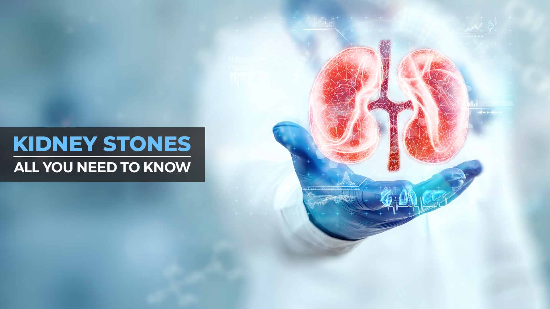 Ayurvedic Hospital for Kidney Stone Treatment