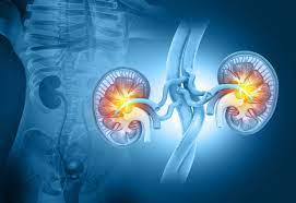 Ayurveda Treatment for Kidney Problems Without Dialysis