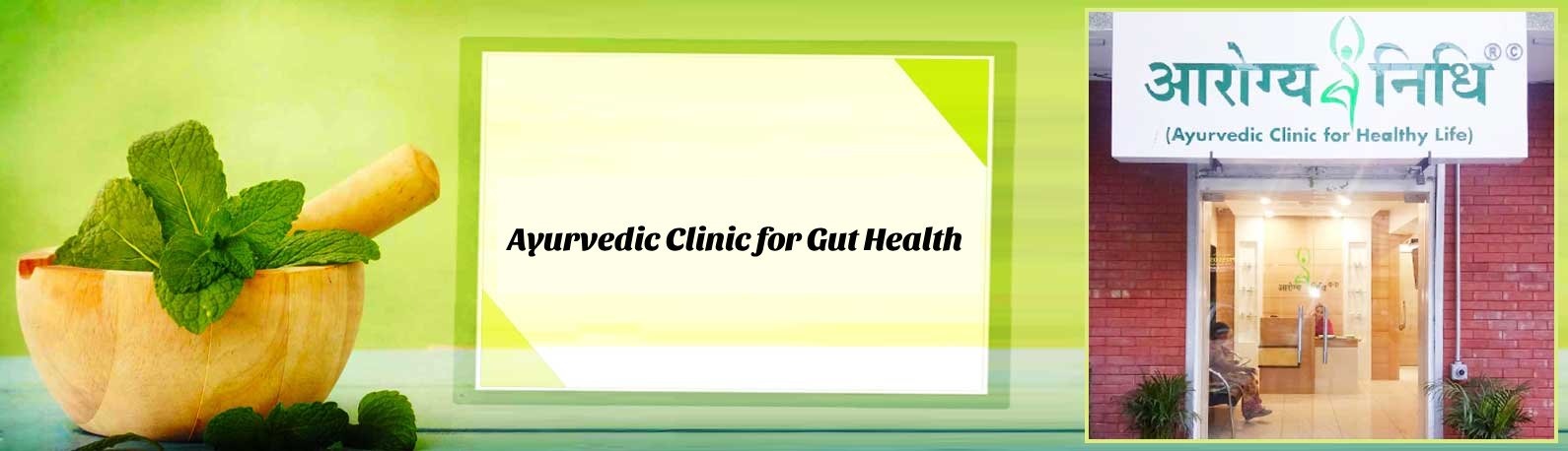 Gut Health